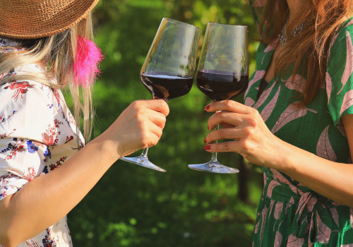 The Beginner's Guide to Choosing the Perfect Wine